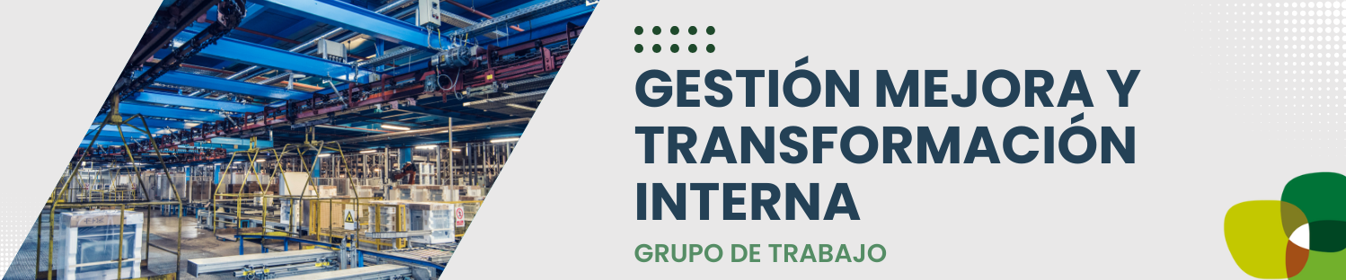 Grupo de Trabajo de Gestión de la Mejora y Transformación Interna