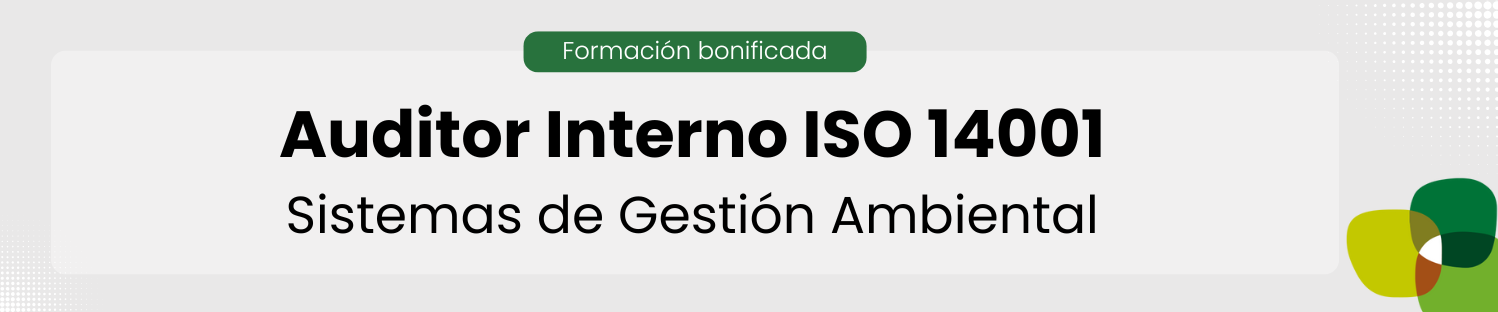 Auditor interno iso 14001