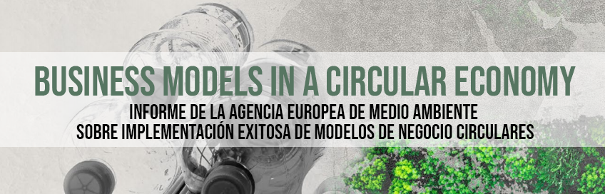 Business Models in a Circular Economy