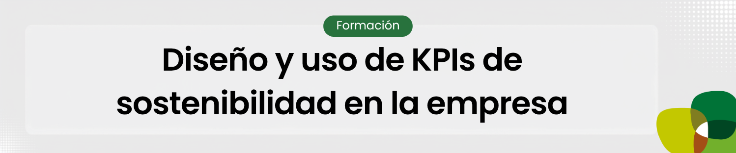 diseño y uso de kpis de sostenibilidad en la empresa