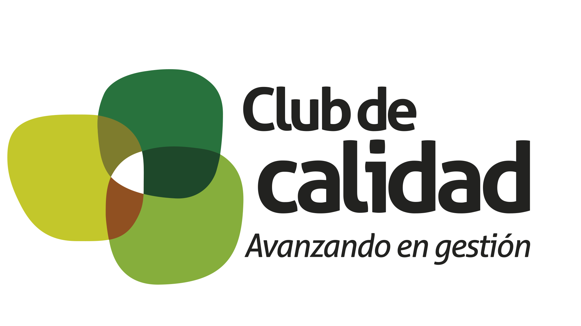 Aprender acerca 74+ imagen club calidad