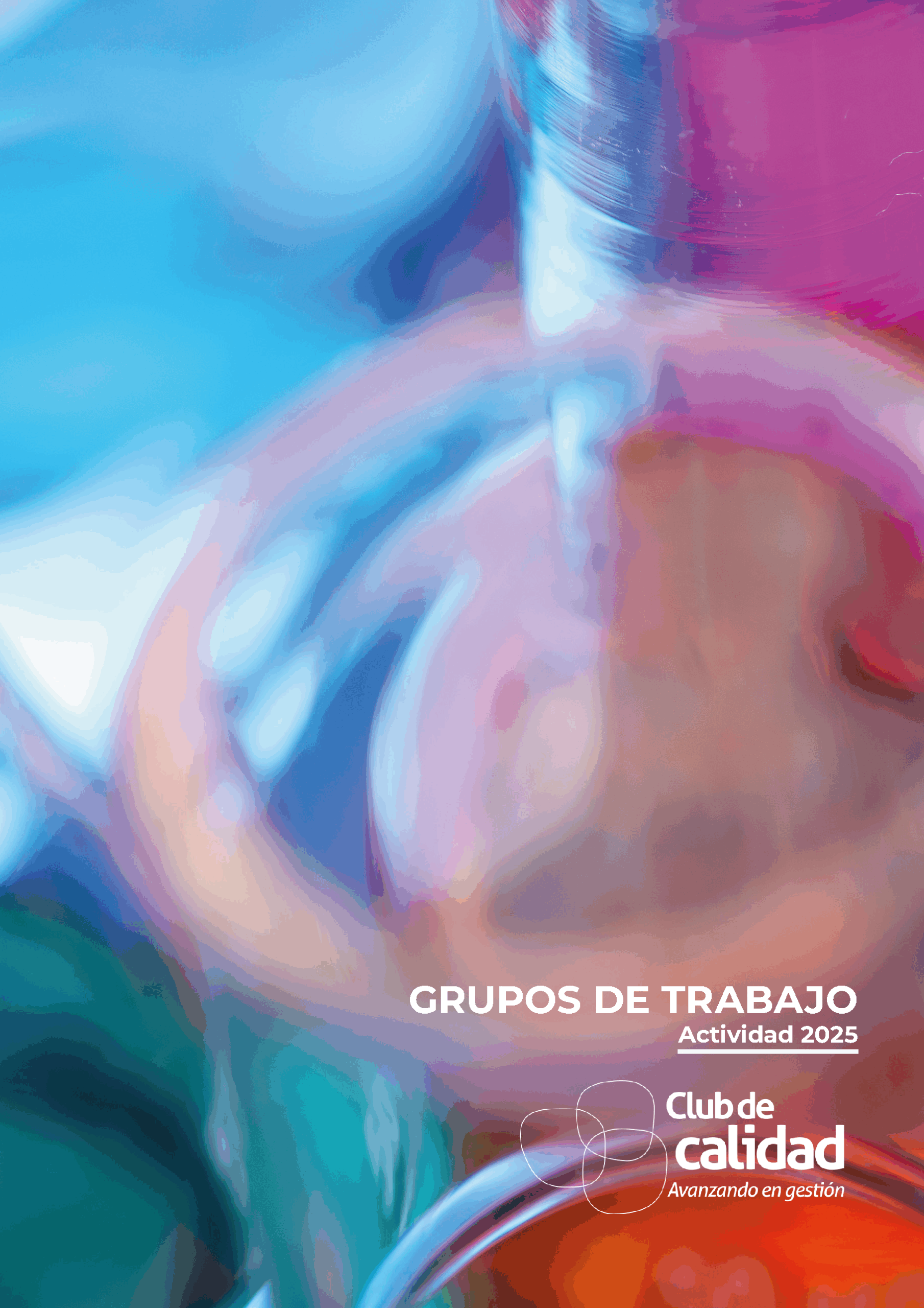 Dossier de actividades de los Grupos de Trabajo