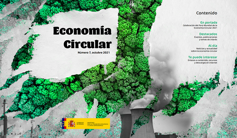 Boletín Número 7 Economía Circular