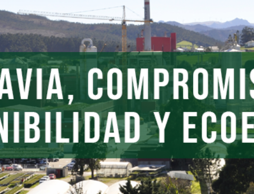 La biofábrica de Ence Navia revalida sus reconocimientos ambientales