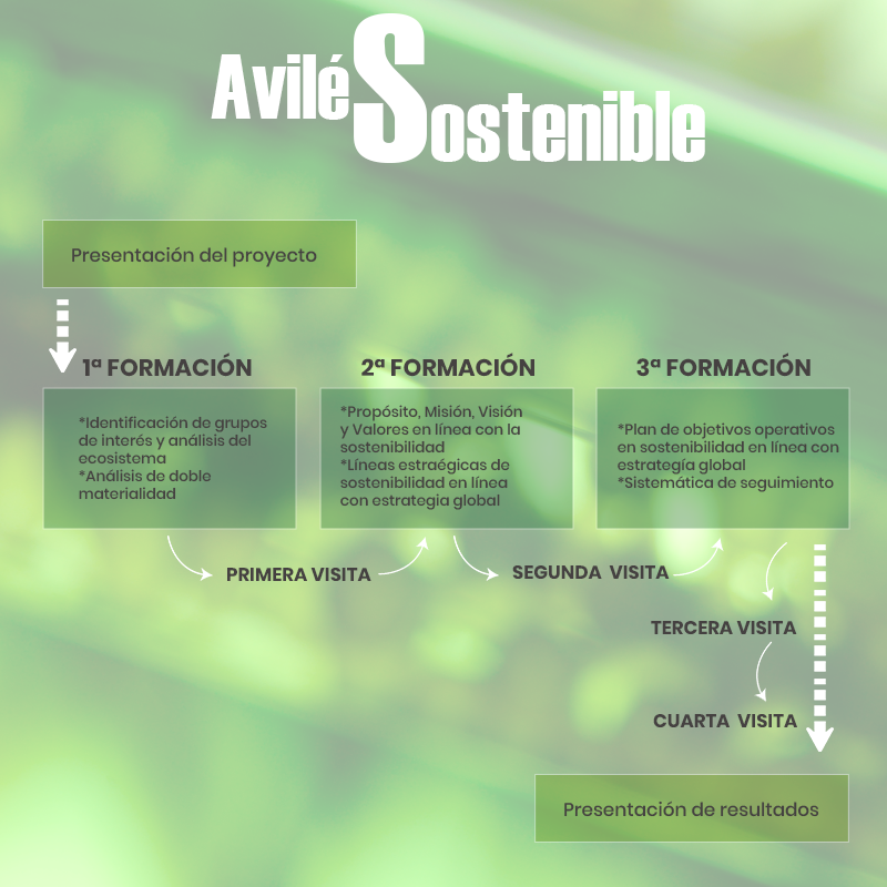 Fases del proyecto Avilés Sostenible