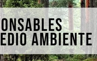 Grupo de Trabajo de Responsables de Medio Ambiente - IRS