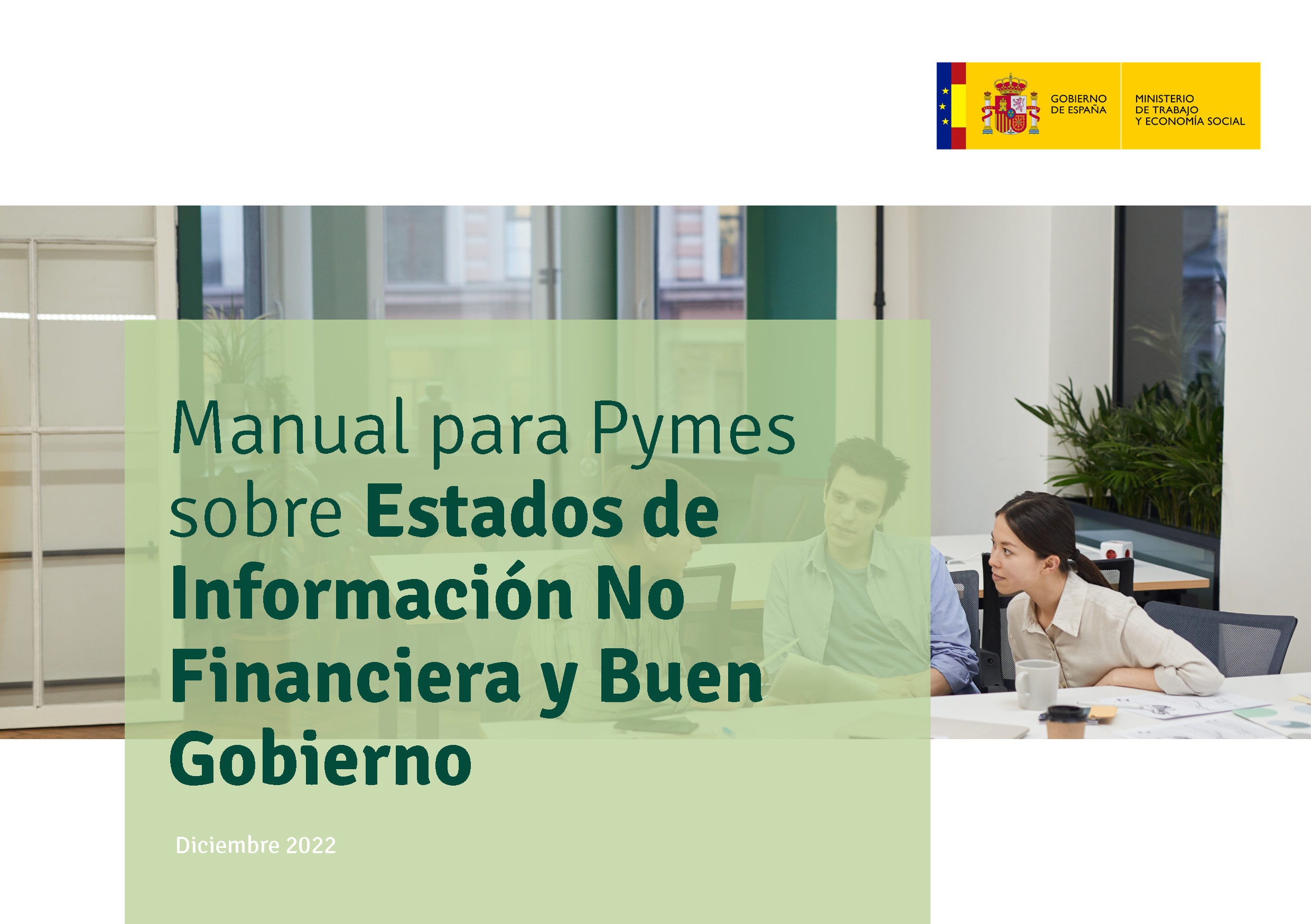 Manual para Pymes sobre Estados de Información No Financiera y Buen Gobierno