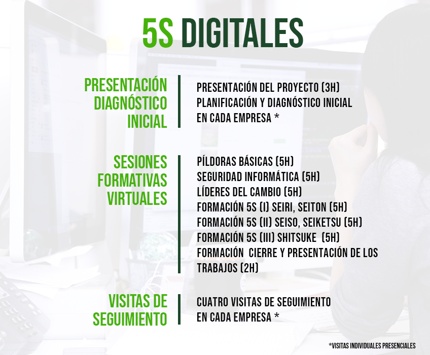 Programa 5S Digitales