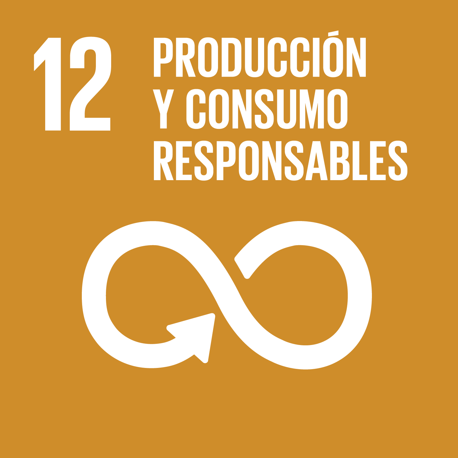 ODS 12: Producción y consumo responsables