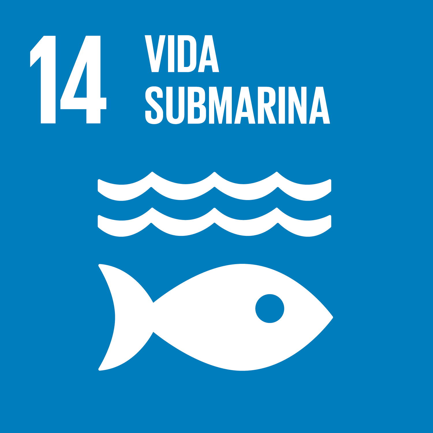 ODS 14: Vida Submarina