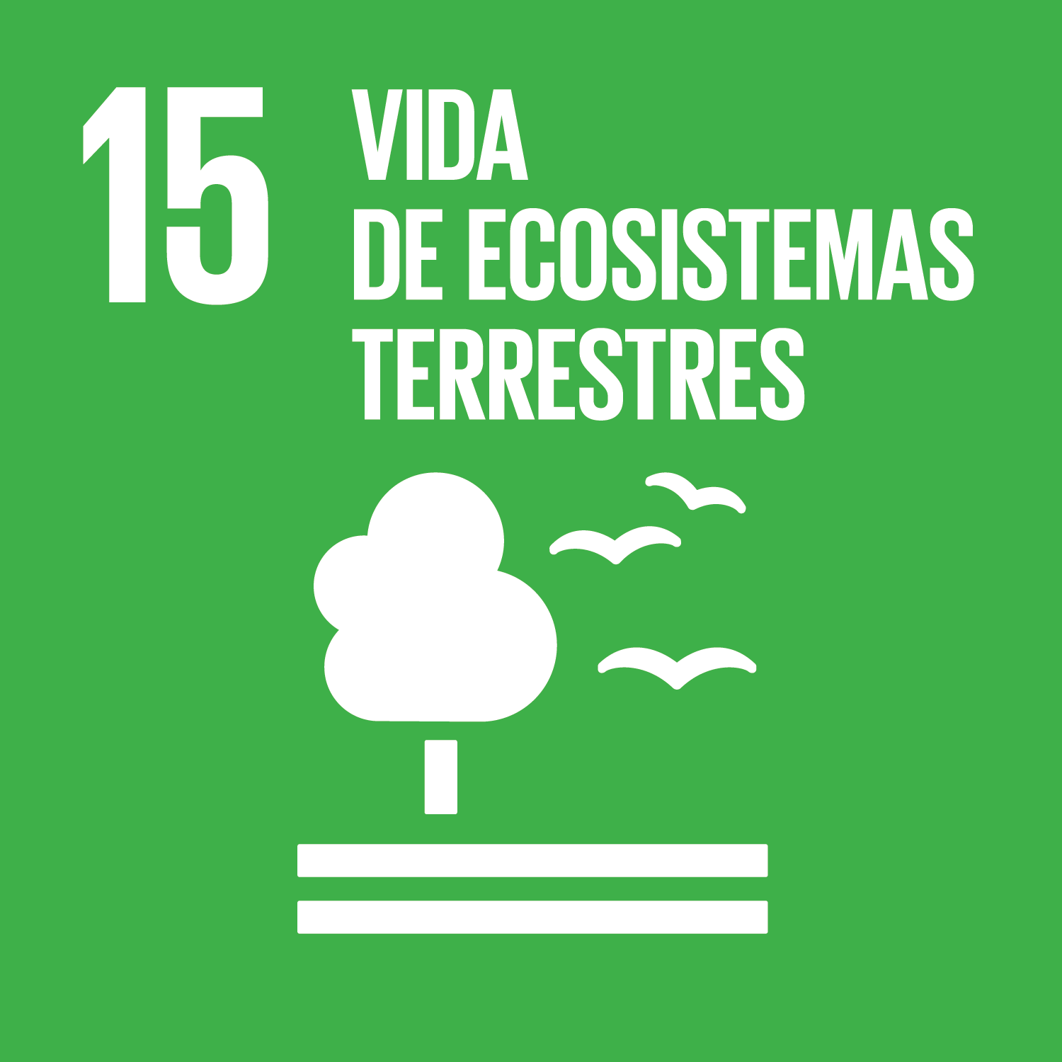 ODS 15: Vida de ecosistemas terrestres