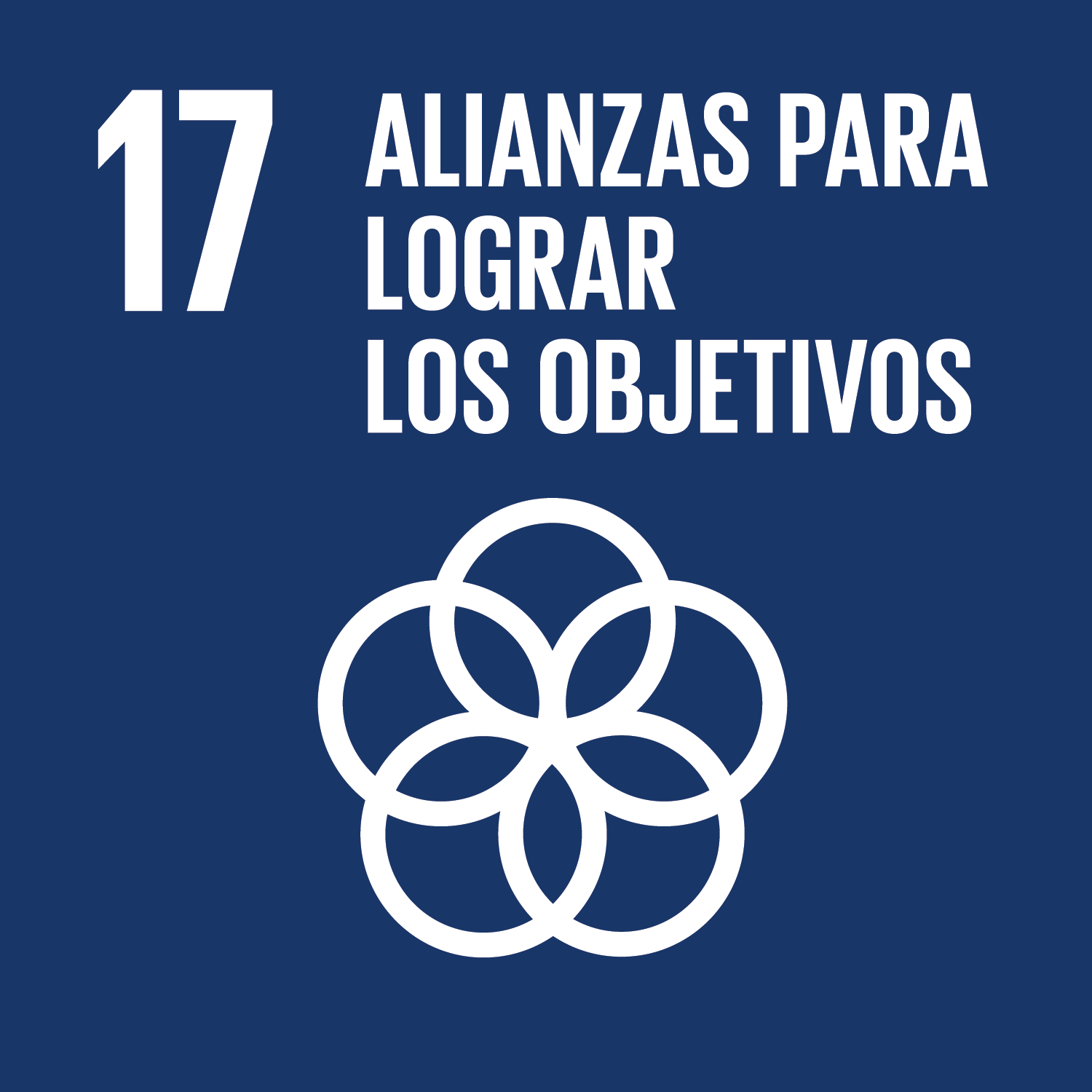 ODS 17: Alianzas para lograr los Objetivos