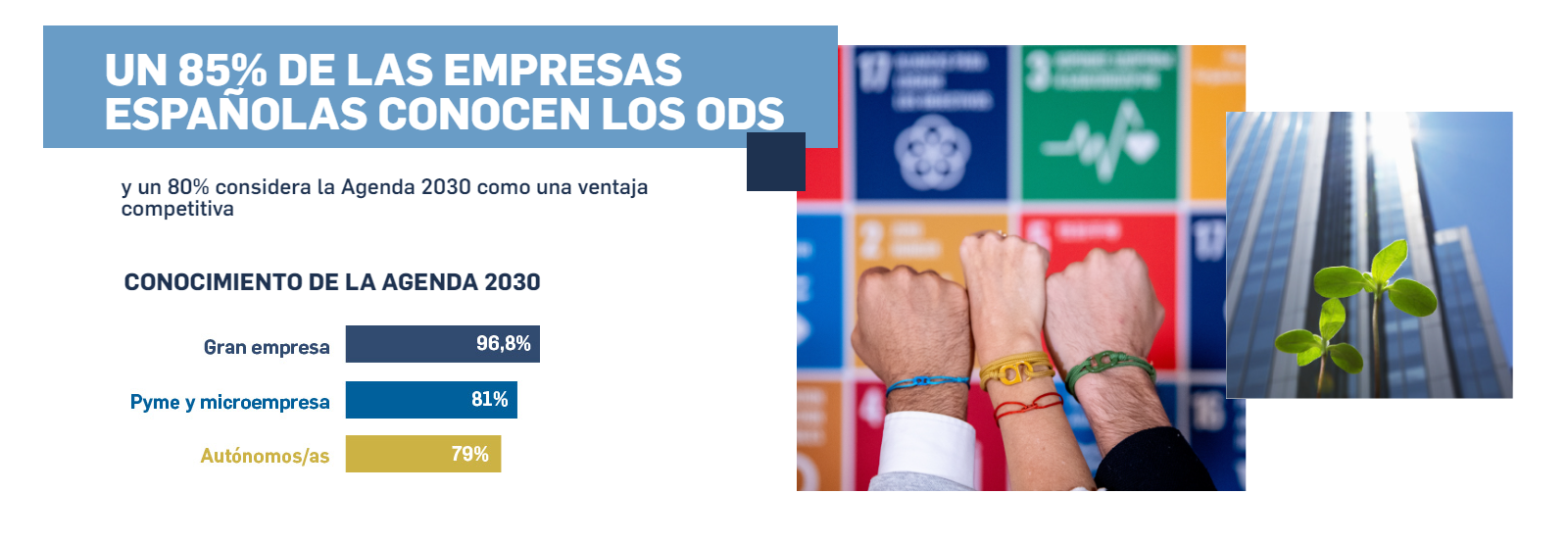 CONSULTA EMPRESARIAL SOBRE DESARROLLO SOSTENIBLE