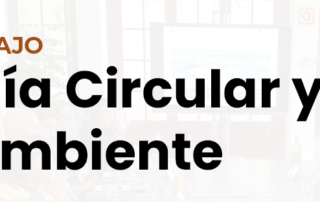 Economía Circular y Medio Ambiente - Grupo de Trabajo