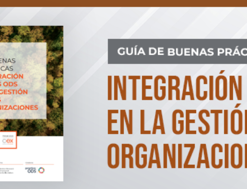 Guía: Integración de los ODS en la gestión de las organizaciones